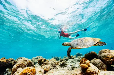 Snorkling (2)