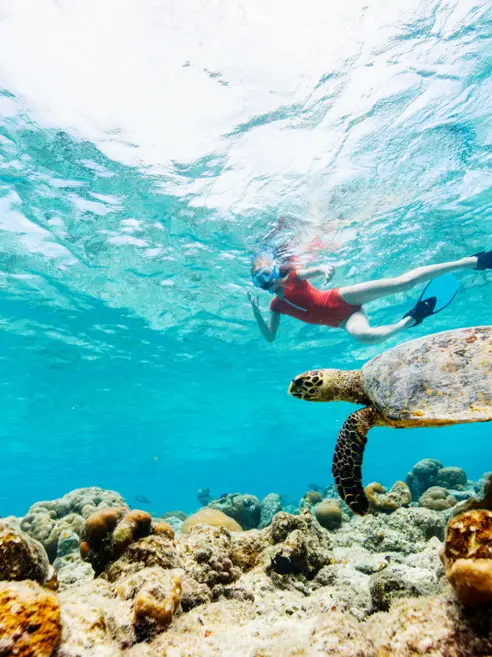 Snorkling (2)