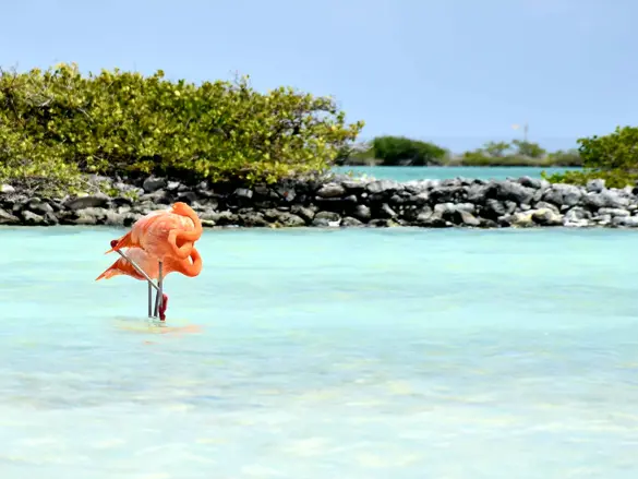 Bonaire
