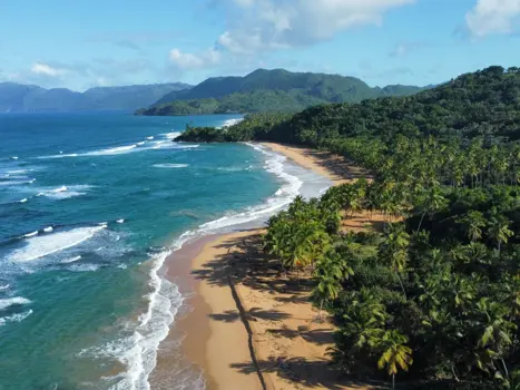 Samana