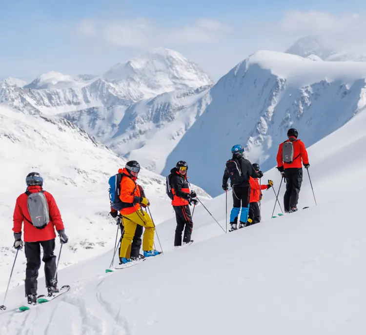 Heliskiing i Panorama i Canada - skirejser med DanExplore
