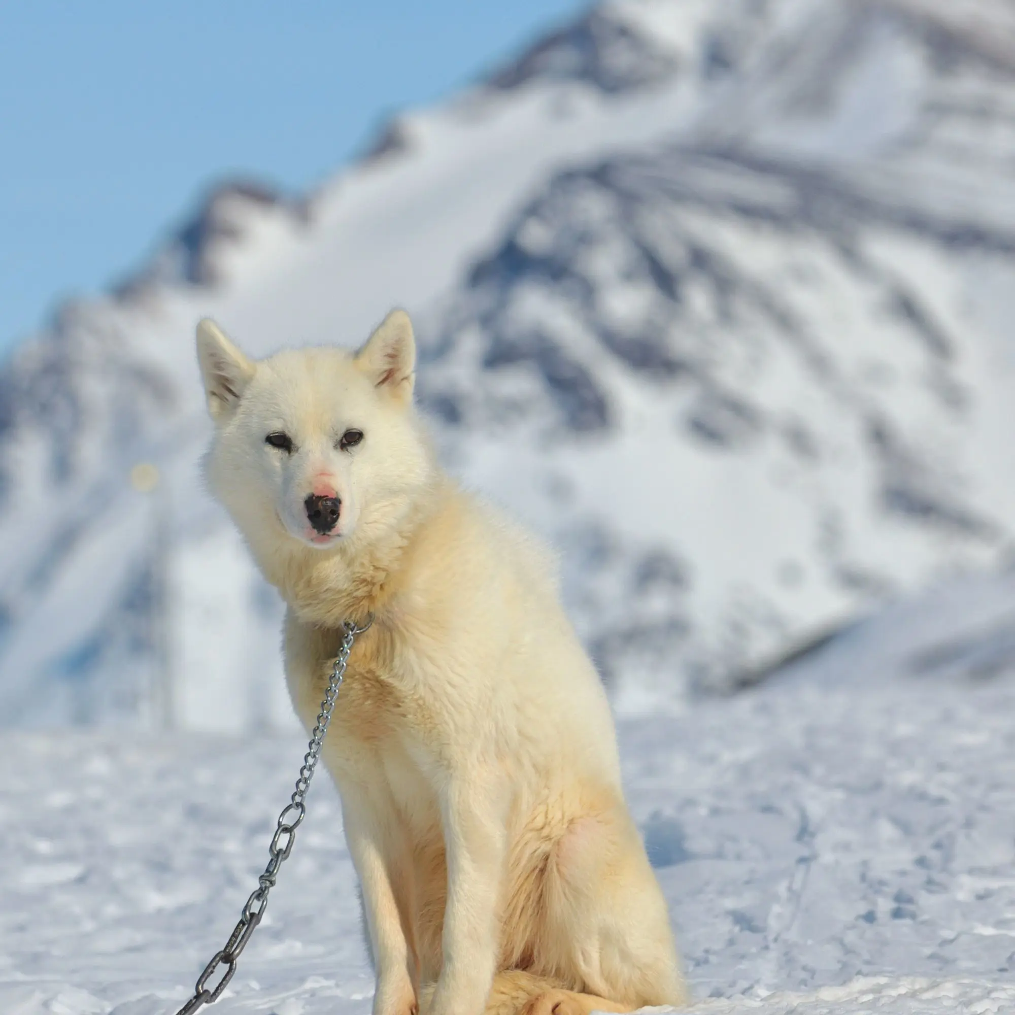 Design Uden Navn (4)