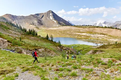 CMH Heli Hiking Rocky Mountains Canada
