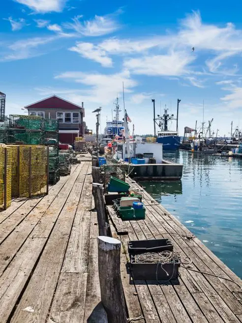 Portland fiskehavn