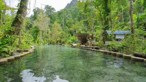Ban Nam Rad Forest i Surat Thani Provinsen i Thailand