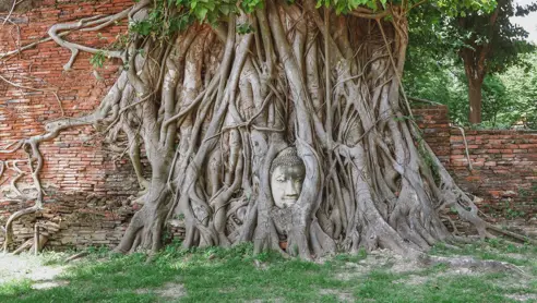 Oplev historiske Ayutthaya på rejsen i Thailand