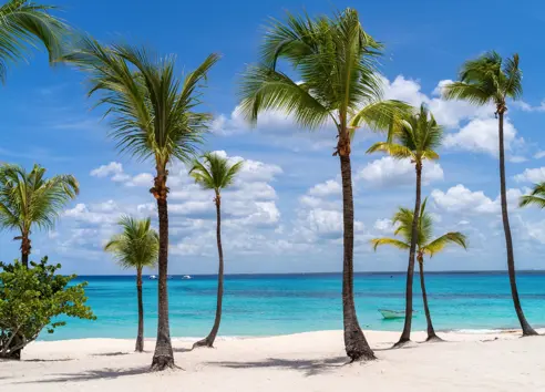 Catalina Island Dominican Republic (2)