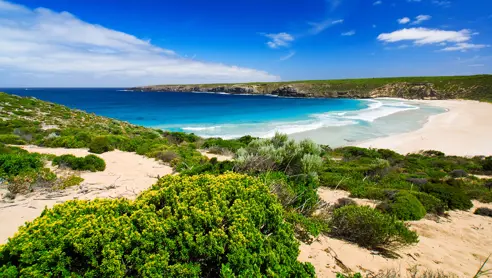 Australien Kangaroo Island
