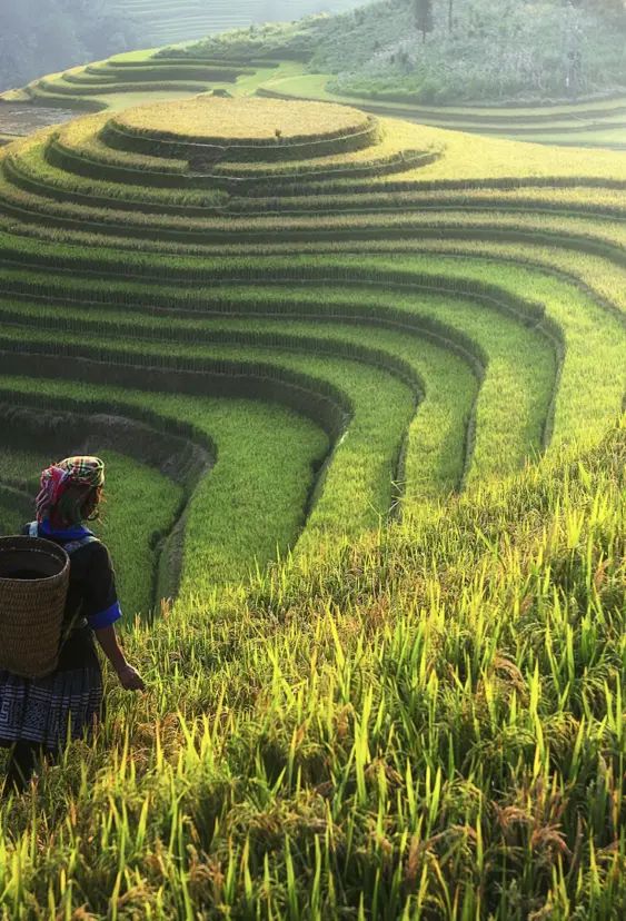 Vietnam