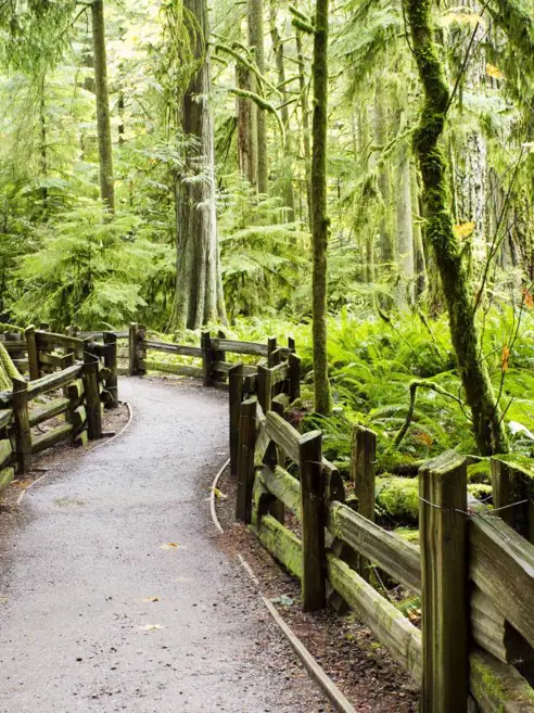 Vancouver Island