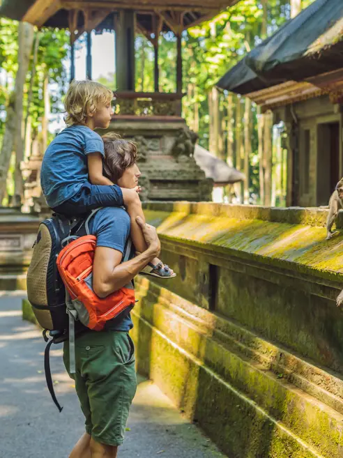 Monkey Forest, Ubud, Bali, Indonesien