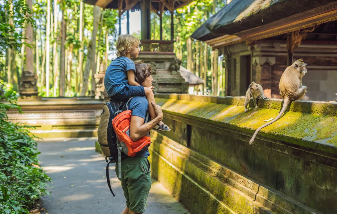 Monkey Forest, Ubud, Bali, Indonesien