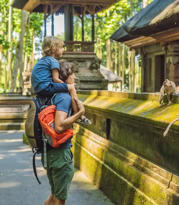 Monkey Forest, Ubud, Bali, Indonesien
