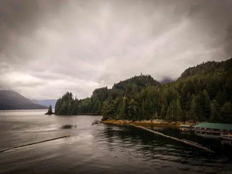 Knight Inlet Lodge i naturen