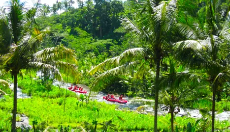 Bali Ayung Riverrafting