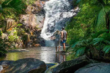 Sauzier Waterfall 1