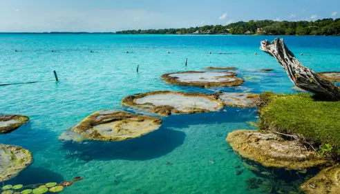 Bacalar (1)