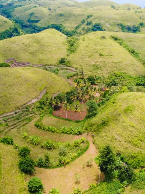 Teletubbies Hills