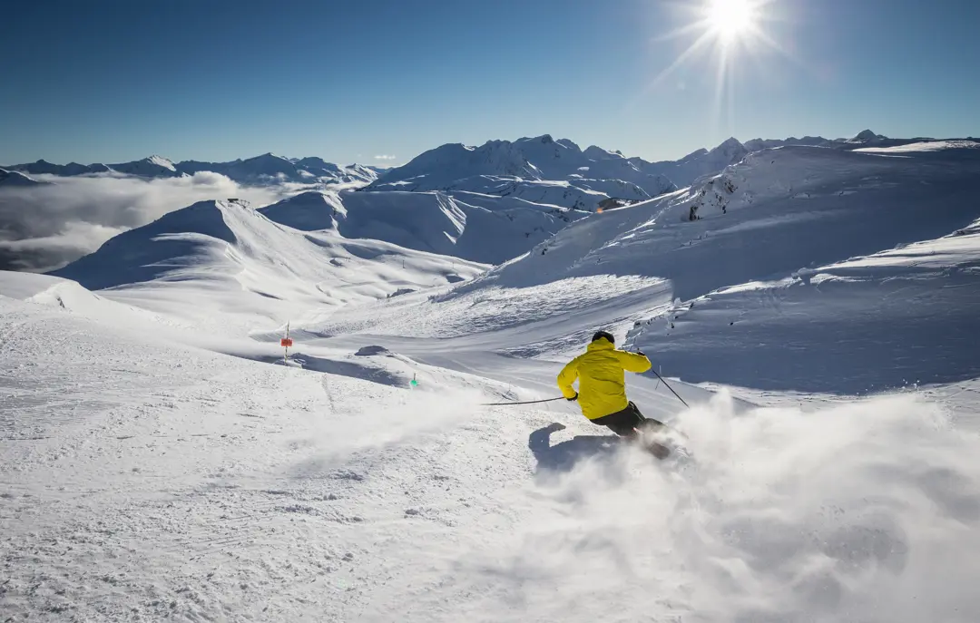 Whistler spejlvendt skiløber