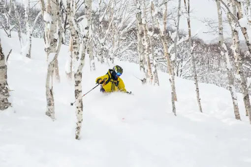 Skirejse Japan Tree Skiing Niseko