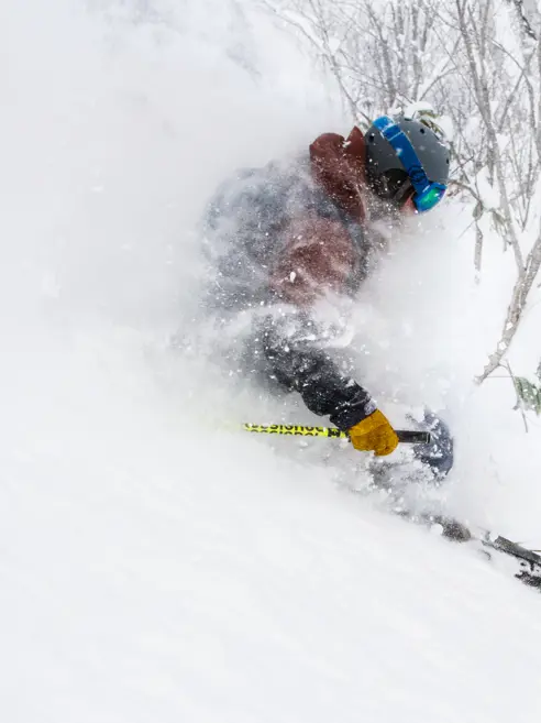 Powder ski i Japan