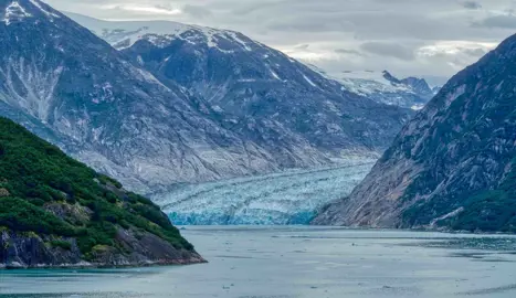 Endicott Arm