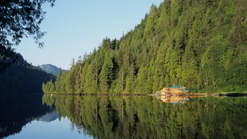 Canada British Columbia Great Bea Lodge