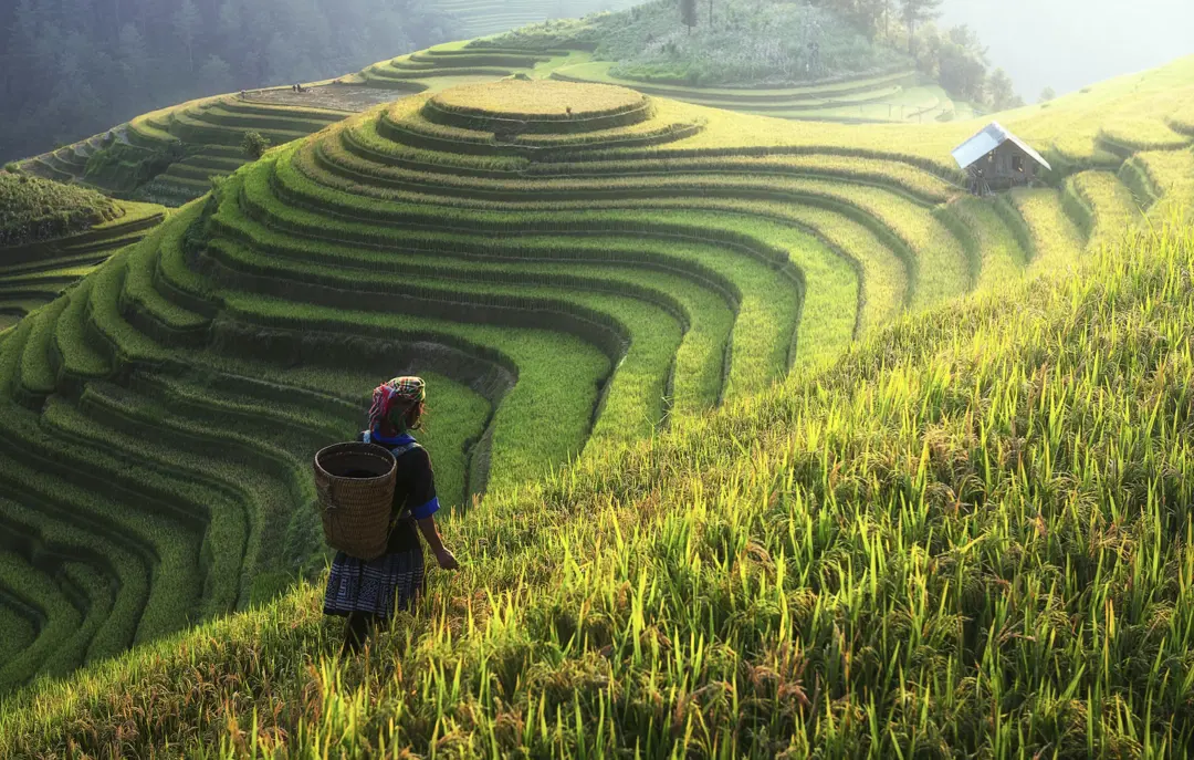Vietnam