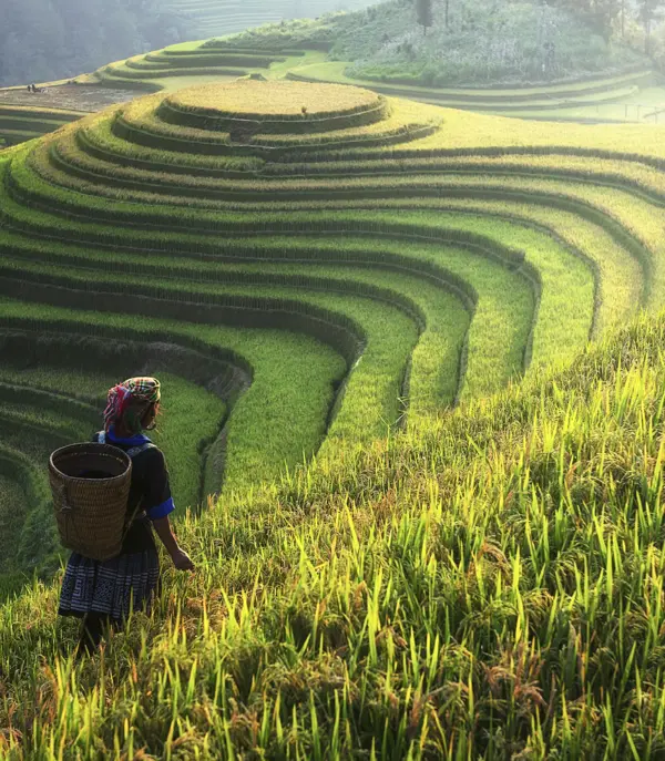 Vietnam
