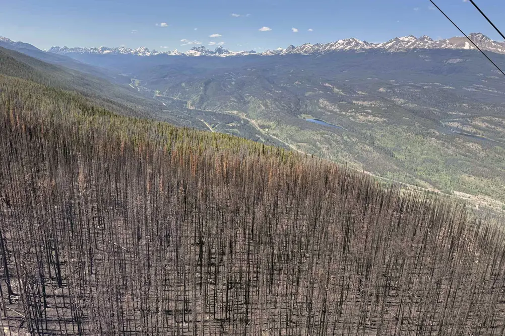 Mille og familien på rejse i autocamper i Canada