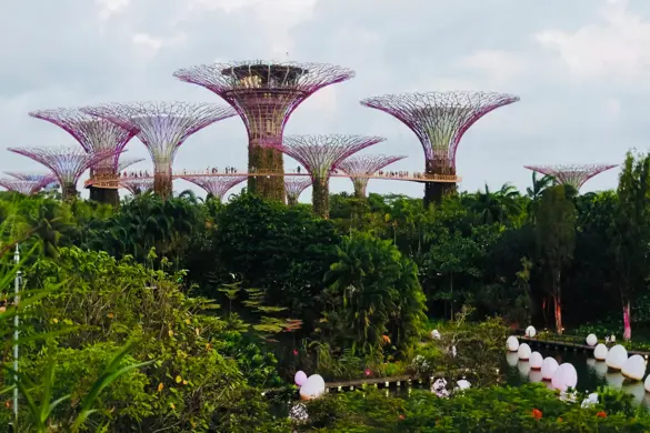 Gardens by the Bay (5)