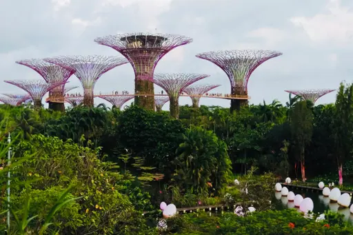 Gardens by the Bay (5)