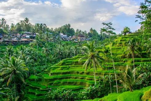 Bali Ubud