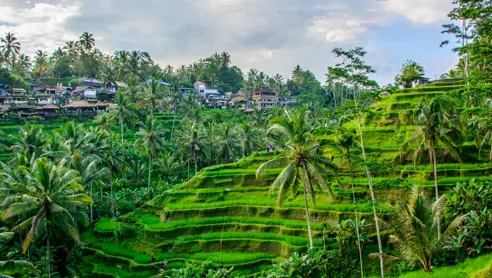 Bali Ubud