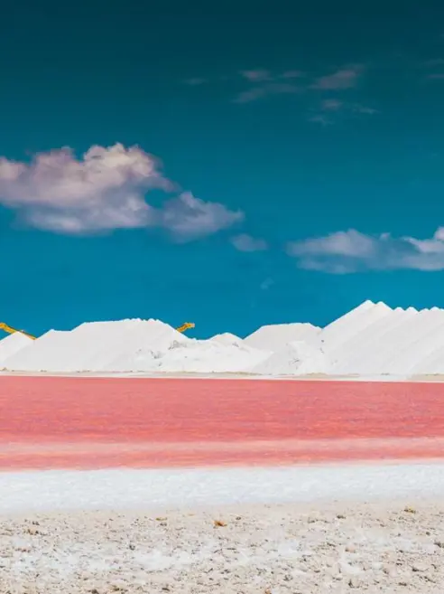 Salt Flats Medium
