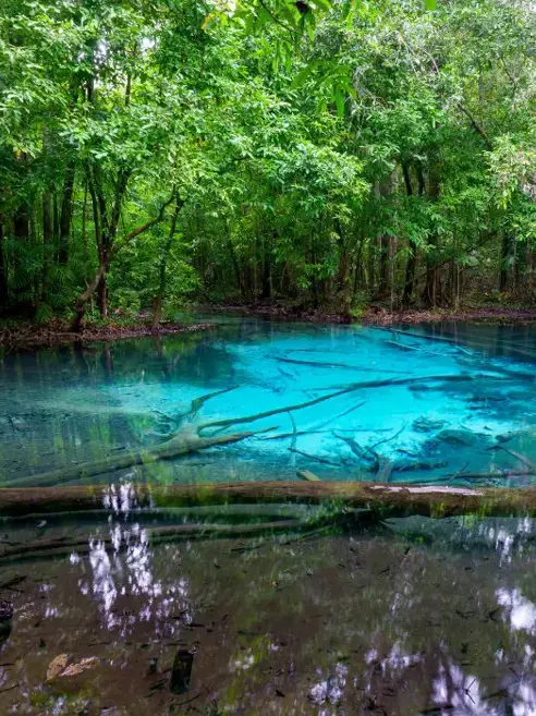 Thung Teao Forest Natural Park Emerald Pool 2