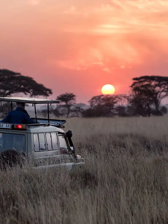 Kenya_drømmesafari.jpg