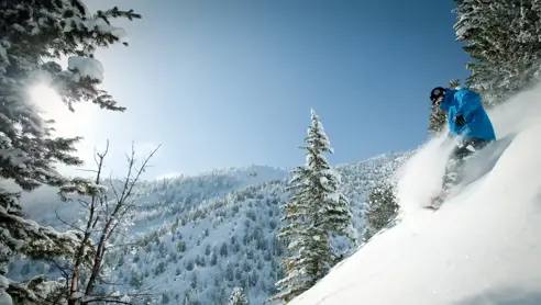 Snowboarder i Panorama