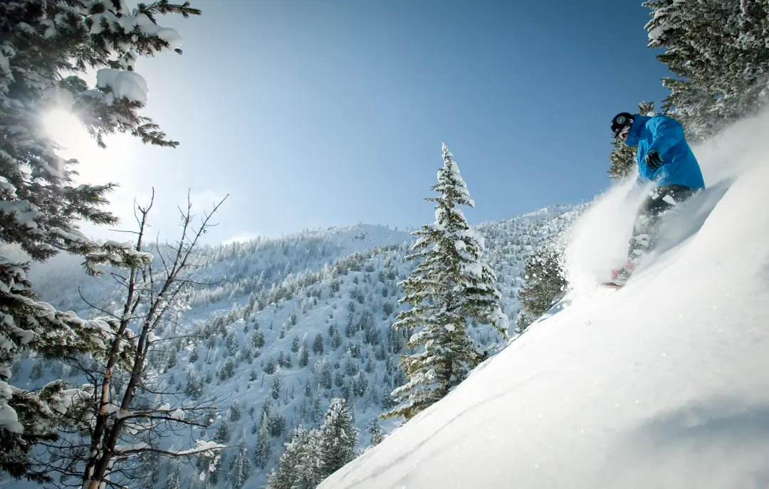 Canada Panorama Ski