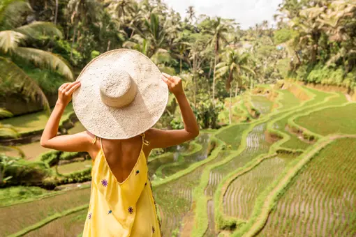 Ubud, Bali, Rismarker