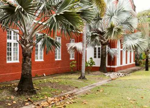 Bridgetown, Barbados (2)