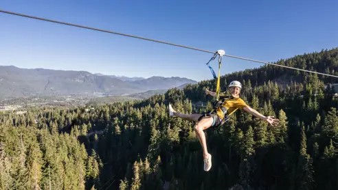 Whistler Ziptrek Bear Tour 3[1]