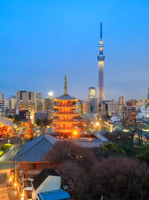 Night Skyline Tokyo Japan