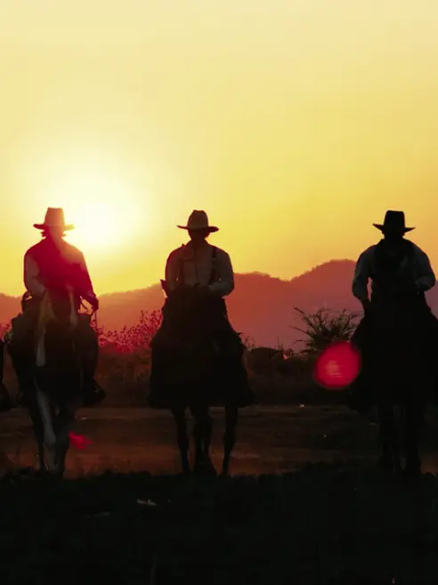 texas-hero.png (1)