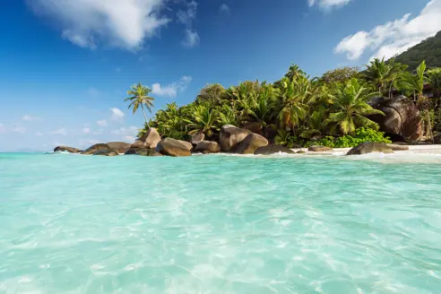 Baie Cipailles