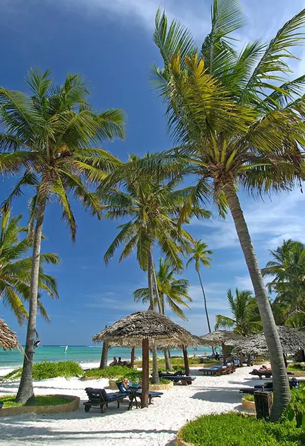 Beach Gallery11 693125