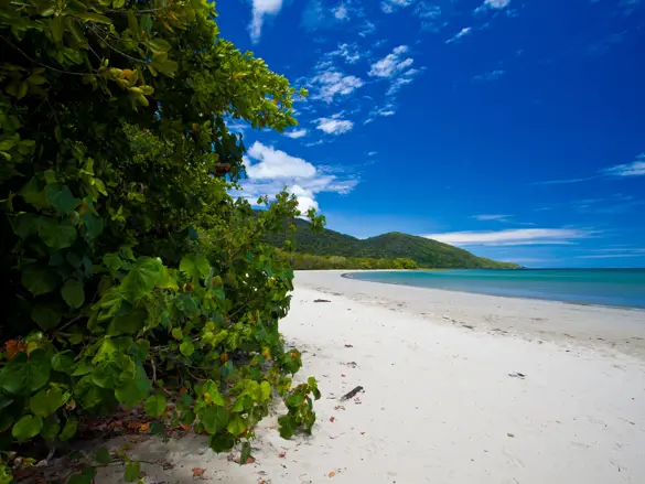 Australien Cape Tribulation