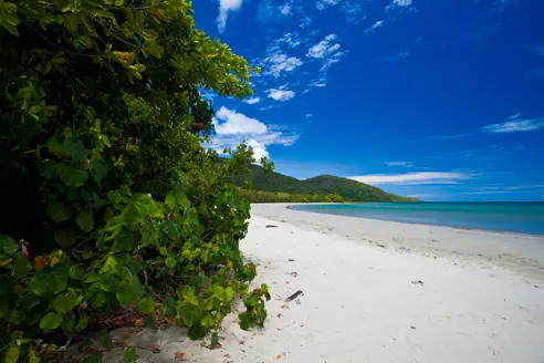 Australien Cape Tribulation