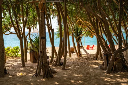 Khao Lak 2447863063