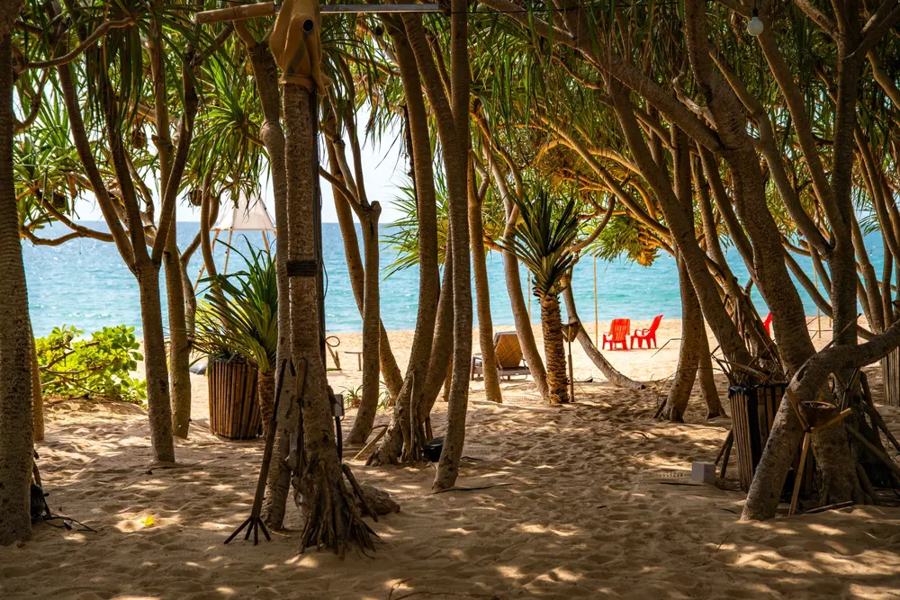 Khao Lak 2447863063